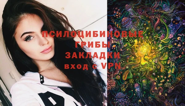 apvp Зеленокумск