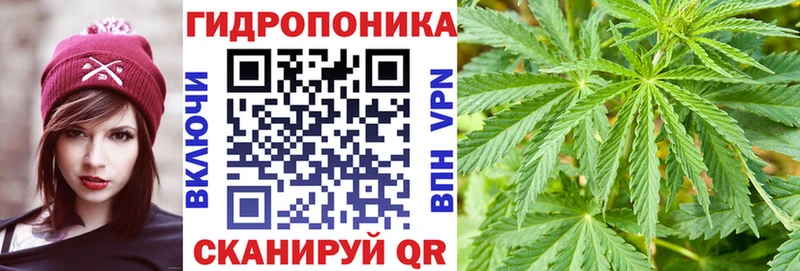 Канабис Amnesia Купить закладки Ельня